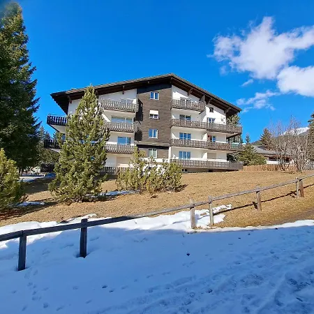 Damiez Apartment